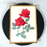 Tablou litografie color, trandafiri, Art Deco, colectie, vintage