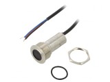 Comutator Anti-Vandalism SPST-NO 24V IP65