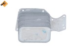 NRF 31284 Radiator ulei, ulei motor