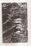 RF179 - Carte Postala - Slanic Moldova. Aleea Izvoarelor, circulata 1970