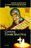 Cuviosul Daniil Sihastrul, 2018