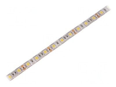 Bandă LED alb rece 12V IP65 foto