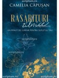 Rasarituri zilnice - Scriptum
