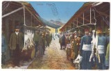 3248 - SILISTRA, Dobrogea, Market, Romania - old postcard - used - 1915, Circulata, Printata