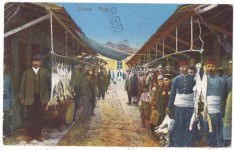3248 - SILISTRA, Dobrogea, Market, Romania - old postcard - used - 1915