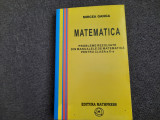 MIRCEA GANGA MATEMATICA PENTRU CLASA A X A /PROBLEME REZOLVATE