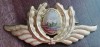Emblema Militara QW14 1 Comunism Aviatie Mica Colectie Armata