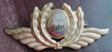 QW14 - Emblema militara / cuc - comunism - aviatie - varianta mica