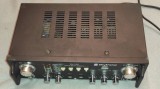 MINI AMPLIFICATOR - SKYTRONIC AV 100