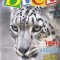 DECE, nr. 4 (18), anul 4