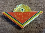 Insigna pionier - PIONIER FRUNTAS IN MUNCA PATRIOTICA CL 1 VARIANTA MARE 4X3 cm
