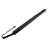 Amortizor portbagaj Ford Edge 2015-2018, Stanga, FT4Z14B351A