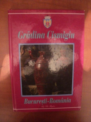 GRADINA CISMIGIU , BUCURESTI - ROMANIA de NAE RIGLEA foto