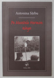 PE MUNTELE HERMON NINGE de ANTONINA SARBU , 2009