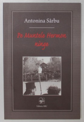 PE MUNTELE HERMON NINGE de ANTONINA SARBU , 2009 foto
