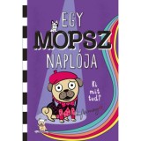 Egy mopsz napl&oacute;ja - Ki mit tud? - Kyla May