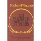 Un muzicant german la Paris