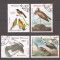 Congo 1985 -Păsări-200 de ani de la nașterea lui John J. Audubon, PA, Stampilate
