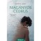 Mag&aacute;nyos c&eacute;drus - Lontai L&eacute;na