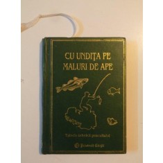 CU UNDITA PE MALURI DE APE de CONSTANTIN IONESCU BOERU 2001