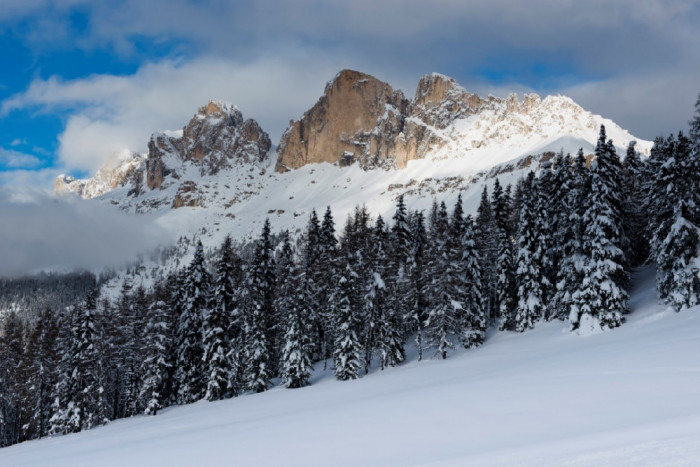 Fototapet de perete autoadeziv si lavabil Natura95, 220 x 135 cm