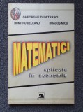 MATEMATICI APLICATE IN ECONOMIE - Dumitrascu, Deleanu