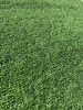 Gazon Artificial, Lungime Fir 10 mm, Latime 1m, Marime 100 x 200 cm, Verde, Imitatie Gazon Natural, Antialergic, Polipropilena, Curte, Terasa, Balcon,