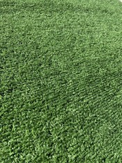 Gazon Artificial, Lungime Fir 10 mm, Latime 1m, Marime 100 x 200 cm, Verde, Imitatie Gazon Natural, Antialergic, Polipropilena, Curte, Terasa, Balcon,