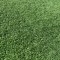 Gazon Artificial, Lungime Fir 10 mm, Latime 1m, Marime 100 x 200 cm, Verde, Imitatie Gazon Natural, Antialergic, Polipropilena, Curte, Terasa, Balcon,