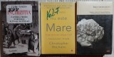 Christopher Hitchens - Dumnezeu nu este mare + Iris Murdoch - Printul Negru + Toby Green - Inchizitia (sigilate)
