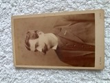 fotografie domn mustacios , atelier austriac , anul 1880