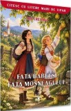 Fata babei si fata mosneagului - Ion Creanga