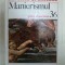 MANIERISMUL- JOHN SHEARMAN- BUC.1983