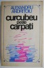 Curcubeu peste Carpati - Alexandru Andritoiu - Roman - Carte Beletristica