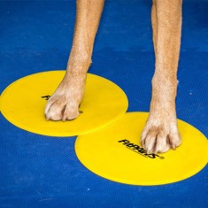 FitPAWS ?inte, 4 buca?i, galben ?i albastru foto