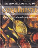 Anne Iburg - Dictionarul Dumont de Condimente. Origini. Gust. Intrebuintari.