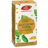 Glicostat Forte M108, 60 capsule, Fares