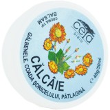 Unguent pentru Calcaie 40g