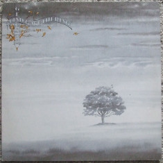 GENESIS - Wind & Wuthering - 1976 - Charisma - MADE IN GERMANY -vinil