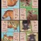 Fauna - Specii dispărute din fauna Rom&acirc;niei, bour, tarpan, saiga, elan, serie tete-beche tip II, 2024, LP 2453f, MNH