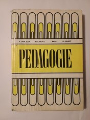 A. Dancsuly; M. Ionescu; I. Radu; D. Salade - Pedagogie (1979)