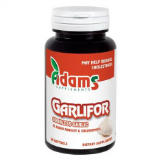 Garlifor 500mg Adams Vision 60cps