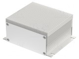 Carcasă: cu panou cu lame de fixare,cu radiator Filotec IP40