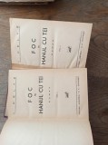 Cumpara ieftin FOC IN HANUL CU TEI- I.PELTZ, DOUA VOLUME, EDITII PRINCEPS