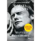 O viata marunta, Hanya Yanagihara, Litera