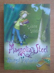 Sabine Stading - Magnolia Steel. Amurgul vrajitoarelor