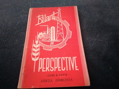 BILANT SI PERSPECTIVE CIFRE SI FAPTE JUDETUL DAMBOVITA foto