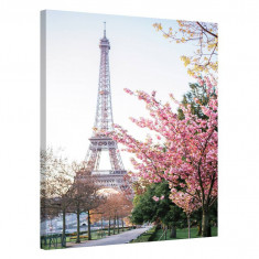 Tablou Canvas, Tablofy, Cherry Blossom, Printat Digital, 70 × 100 cm
