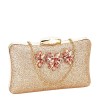 Clutch sampanie cu brosa BYH814 05