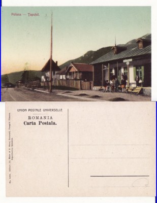 Poiana Tapului, Busteni- Bucegi foto